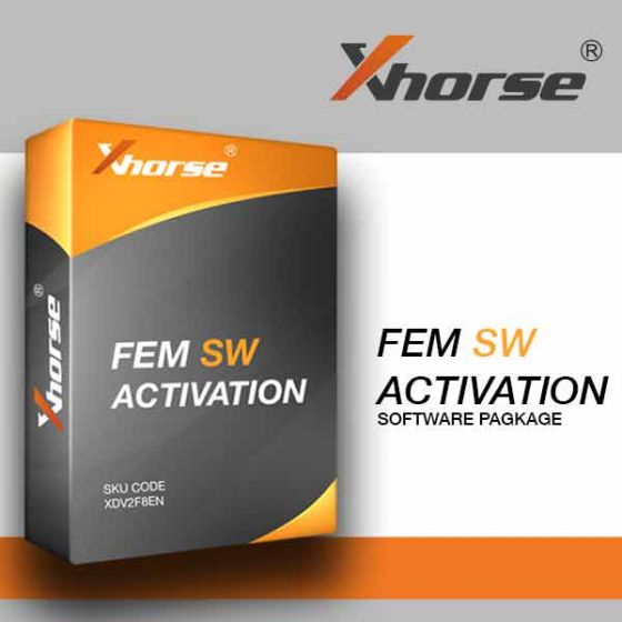 FEM SW Activation