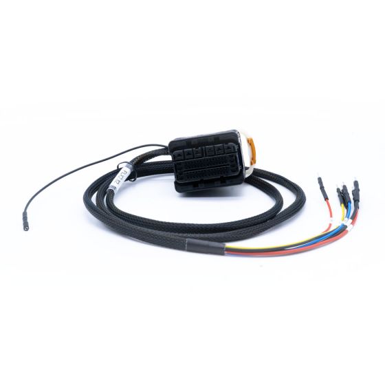 Cable for MD1CS003 ECUs