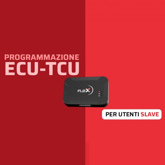 Corso Programmazione ECU-TCU per utenti Flex Slave