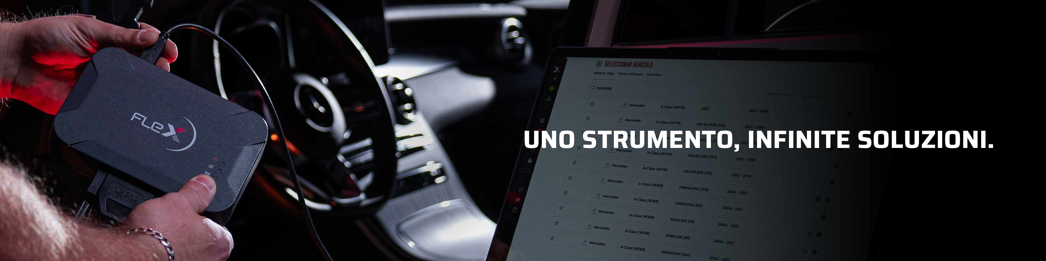 Flex Strumento per il chiptuning